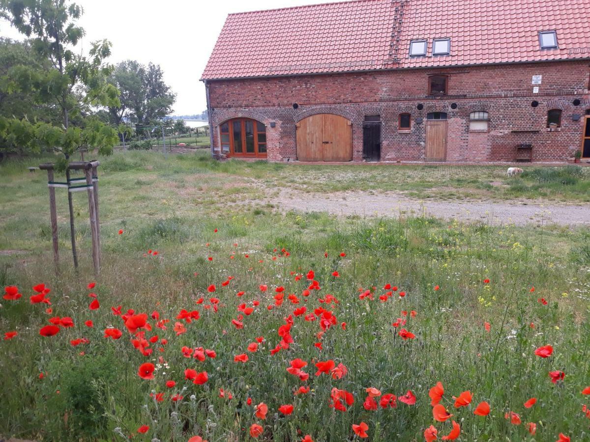 An Den Elbwiesen Gz Fewo Elbeblick Nur Nichtraucher Dommitzsch Exterior foto